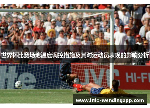 世界杯比赛场地温度调控措施及其对运动员表现的影响分析