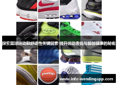 探索篮球运动鞋舒适性关键因素 提升运动表现与脚部健康的秘密