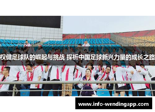 权健足球队的崛起与挑战 探析中国足球新兴力量的成长之路