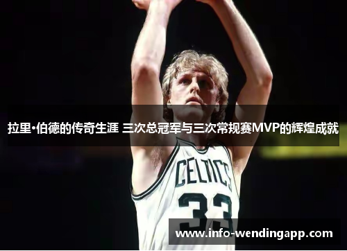 拉里·伯德的传奇生涯 三次总冠军与三次常规赛MVP的辉煌成就