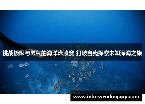 挑战极限与勇气的海洋泳渡赛 打破自我探索未知深海之旅