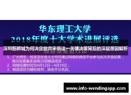 深圳新鹏城为何决定放弃宋岳这一关键决策背后的深层原因解析