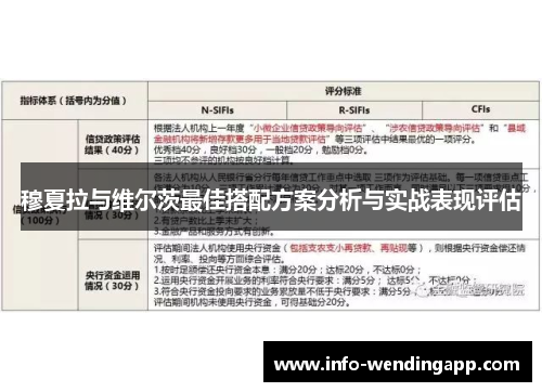 穆夏拉与维尔茨最佳搭配方案分析与实战表现评估