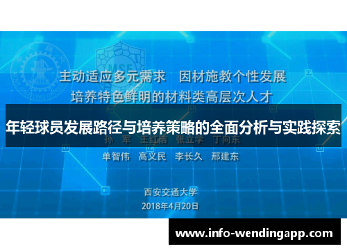 年轻球员发展路径与培养策略的全面分析与实践探索