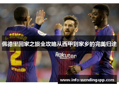 佩德里回家之旅全攻略从西甲到家乡的完美归途