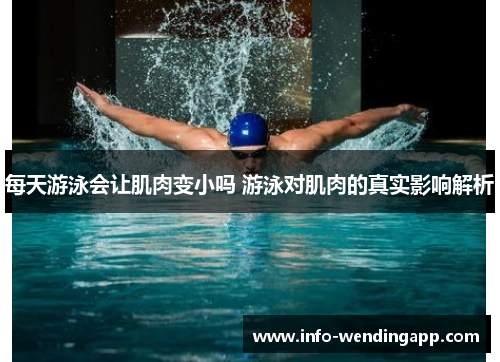 每天游泳会让肌肉变小吗 游泳对肌肉的真实影响解析