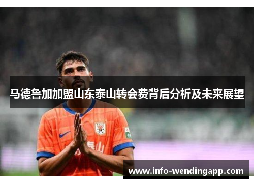 马德鲁加加盟山东泰山转会费背后分析及未来展望