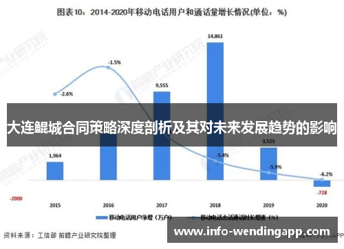 大连鲲城合同策略深度剖析及其对未来发展趋势的影响