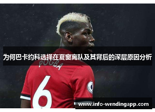 为何巴卡约科选择在夏窗离队及其背后的深层原因分析