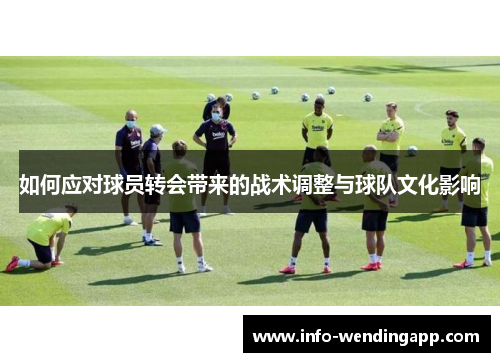 如何应对球员转会带来的战术调整与球队文化影响