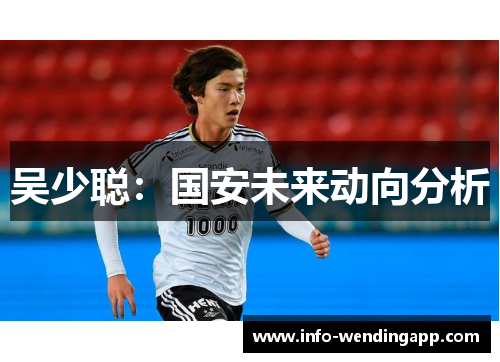 吴少聪：国安未来动向分析
