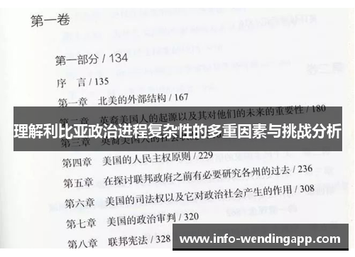 理解利比亚政治进程复杂性的多重因素与挑战分析