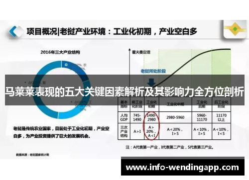 马莱莱表现的五大关键因素解析及其影响力全方位剖析
