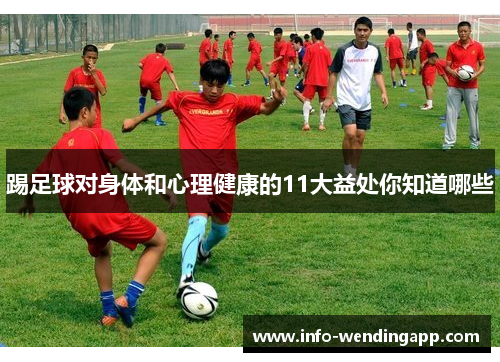 踢足球对身体和心理健康的11大益处你知道哪些